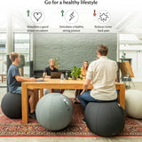 65cm Balance Ball Chair for Office & Home  Washable Cotton Cover Ergonomic Exercise Ball for Posture Back Relief Yoga Ball Chair
