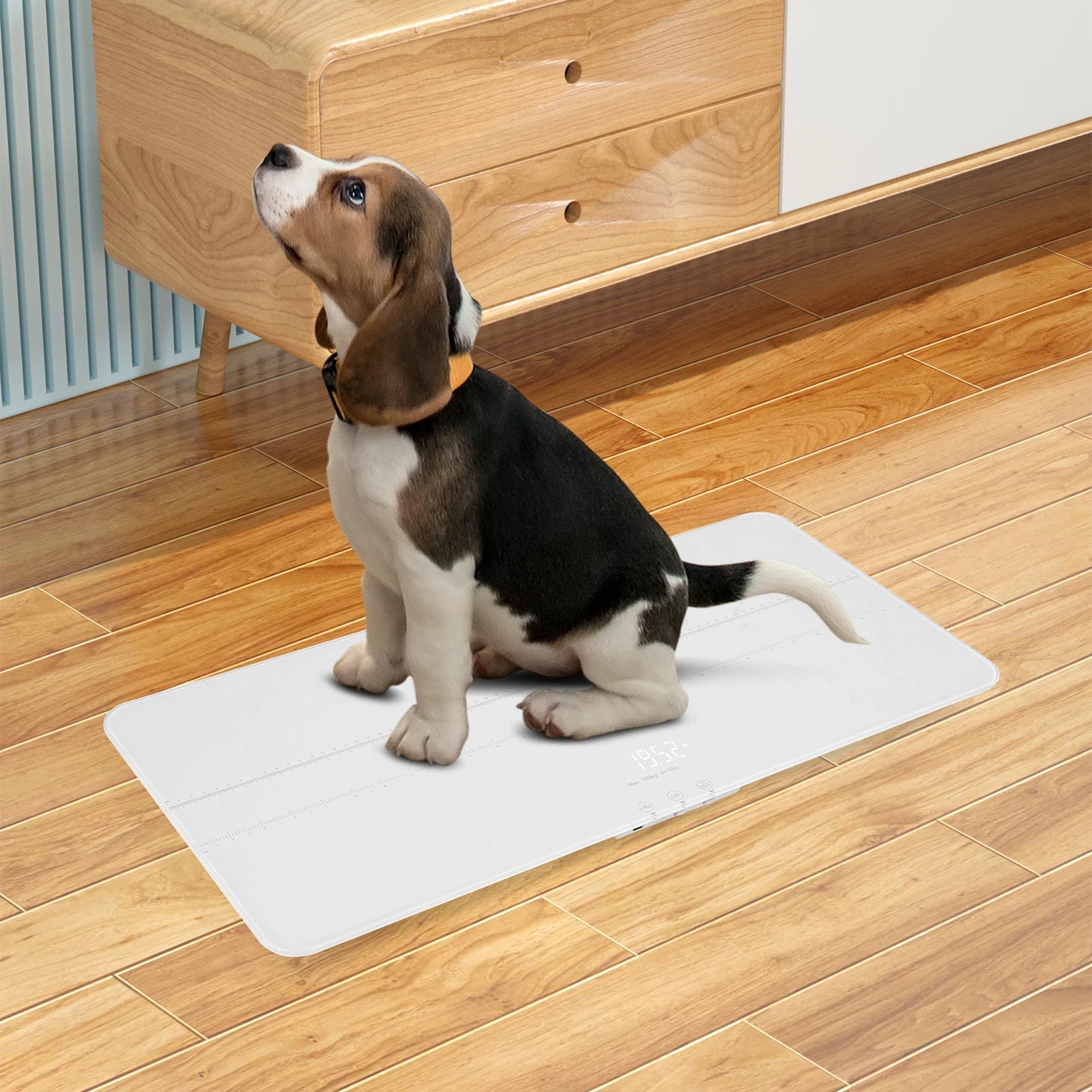 Smart Pet Scale 100kg Digital Scale W/LED Display High Precision 10g Deviation USB Charging Vet Scale for Pet Health Monitoring