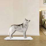 Smart Pet Scale 100kg Digital Scale W/LED Display High Precision 10g Deviation USB Charging Vet Scale for Pet Health Monitoring