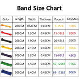 Workout Pilates Latex Resistance Band Sport Fitness Exercise Elastic Band Heavy Duty Strength Pull Up Crossfit Gym Equipments