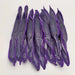10pcs Purple2