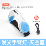 WRELS LED Light Up Armband Running Arm Belt Glow Sports Bracelet Outdoor Night for Running Walking Cycling Concert Roller Skates