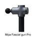 Fascial gun Pro