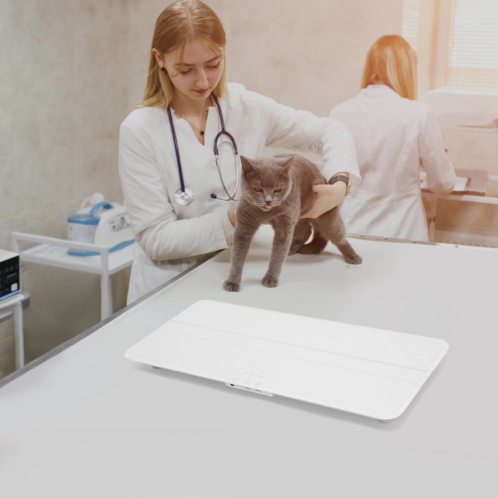 Smart Pet Scale 100kg Digital Scale W/LED Display High Precision 10g Deviation USB Charging Vet Scale for Pet Health Monitoring