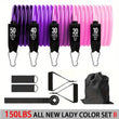 Resistance Band Set Workout Bands Exercise Band 5 Tube Fitness with Door Anchor Handles Legs Ankle Straps and Fitness Stick