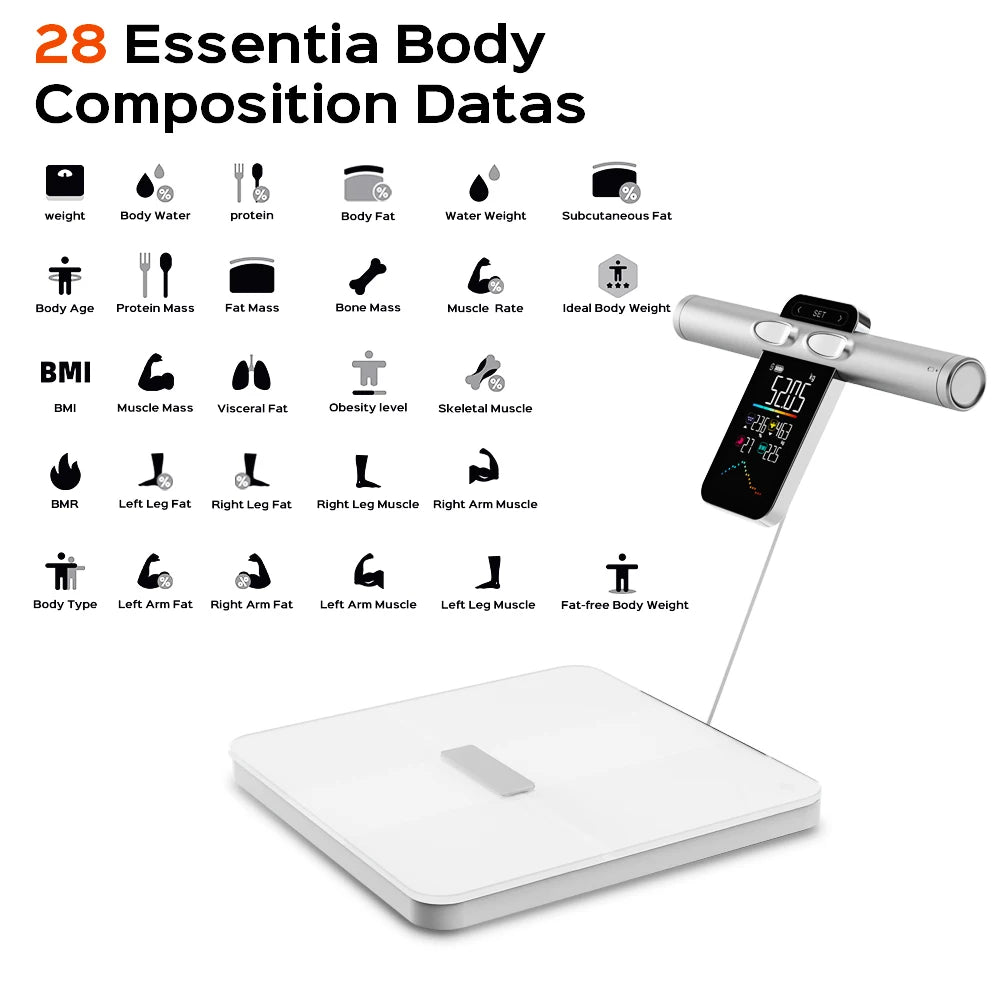 2025 New Offline Measurement Function Body Scale Body Fat Meter Body Composition Analyzer Smart Weight Scale Body Fat Scale